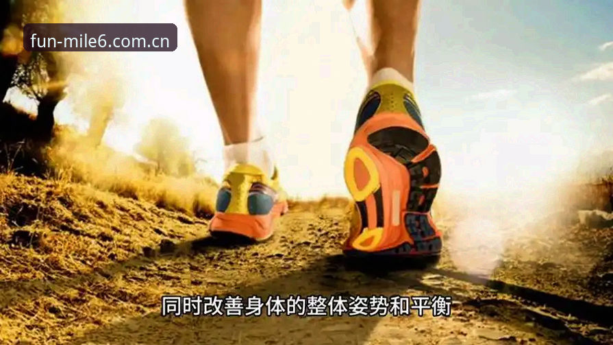 米乐m6体育用户必读：米乐M6登录对比完整指南